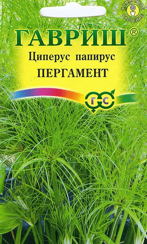 Вышивка по сетке как называется Вышивка по сетке как называется
