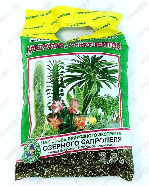 Грунт для суккулентов