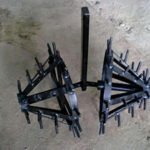 Ёж одинарный