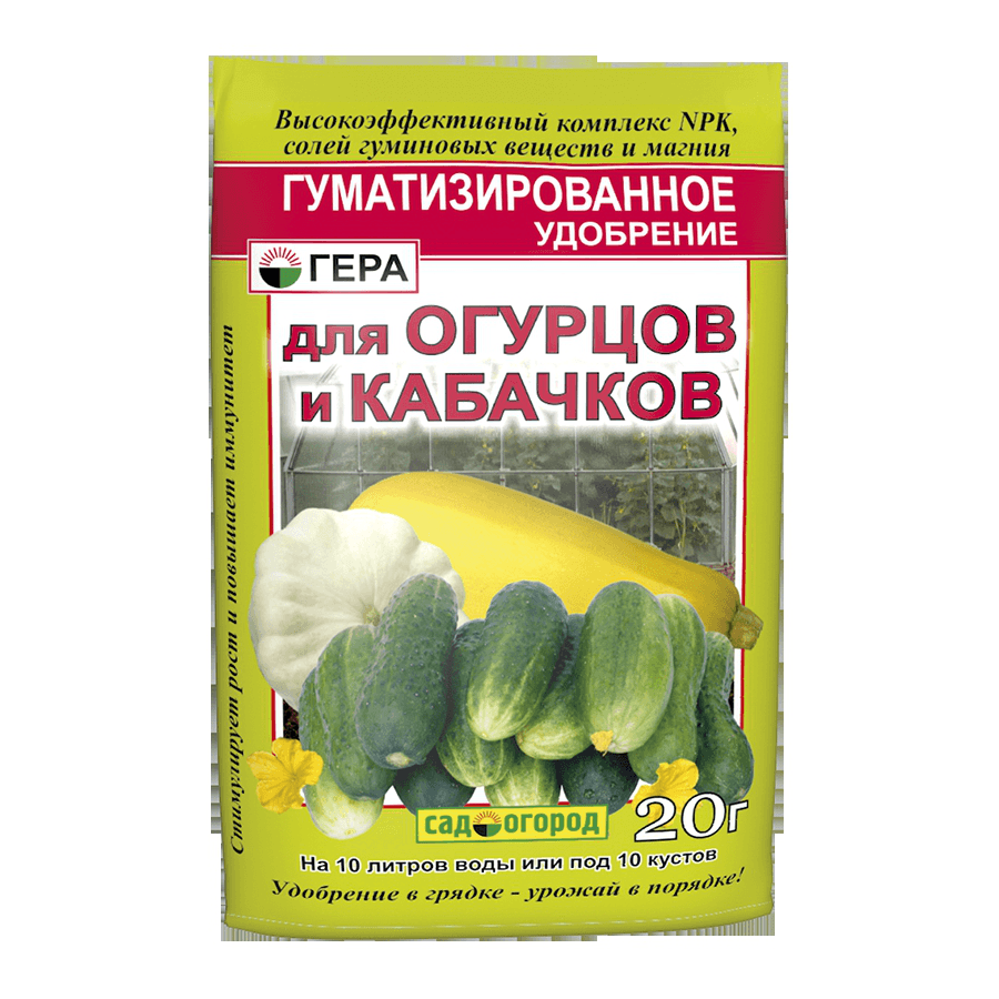 Бруцеллез у человека, бруцеллез овец и коз Бруцеллез у человека, бруцеллез овец и коз
