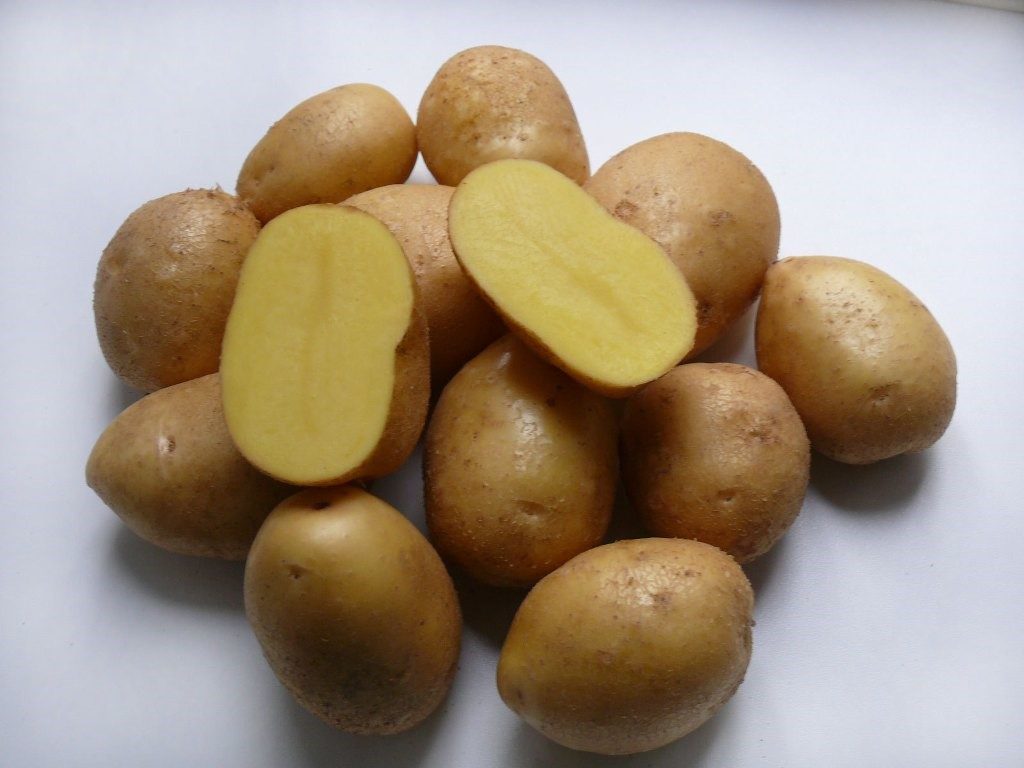 картофель Коломба