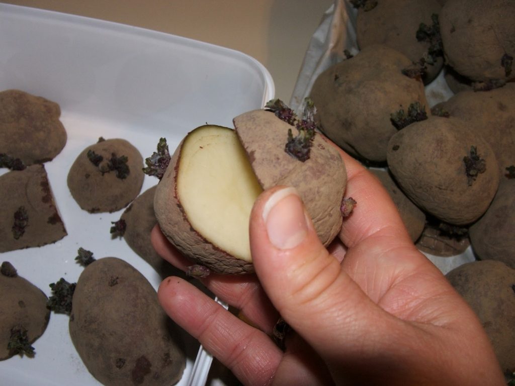 Нарезка клубней картофеля