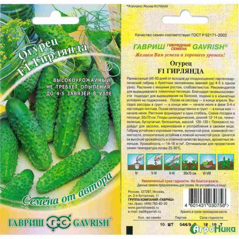 Огурцы Гирлянда: описание сорта с фото, выращивание, отзывы о семенах и ...