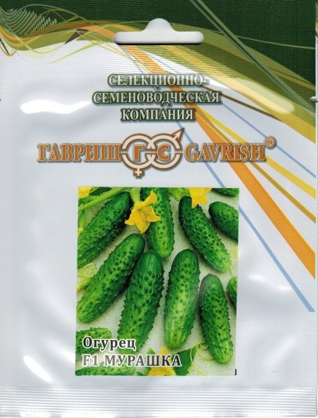 semena ogurcov murashka f1