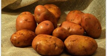 сорт картофеля журавинка