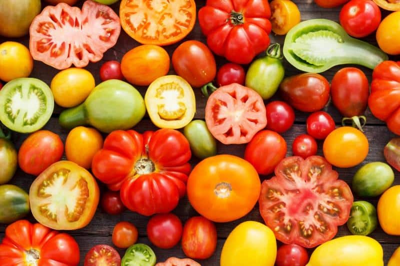 Как собрать семена помидоров в домашних условиях и правильно их подготовитьдля хранения