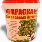 Побелка деревьев осенью: сроки, рецепты растворов, правила проведения ...