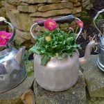 Садовые цветы в железных чайниках