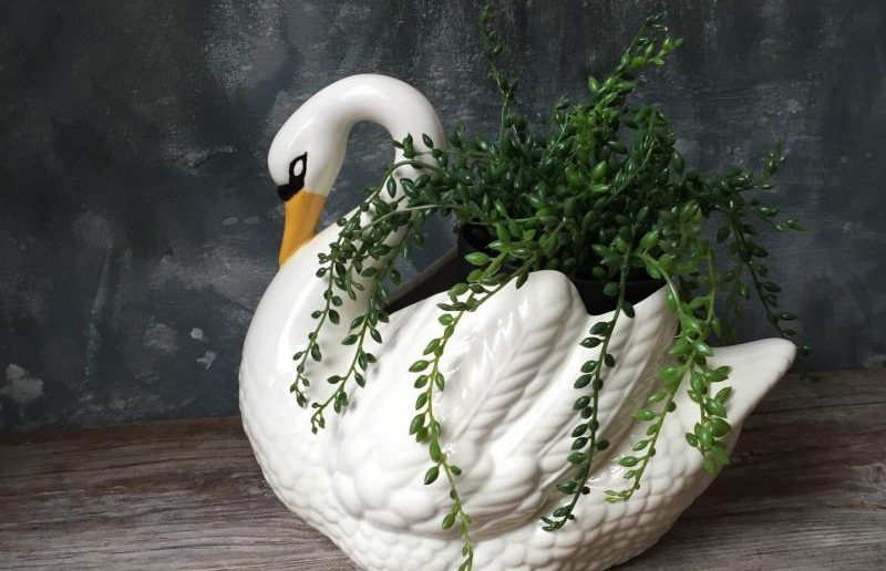 Кашпо-лебедь с ампельным растением