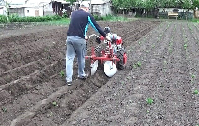 Окучивание картофеля толкающим трактором