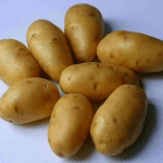 Картофель сорта Лорх