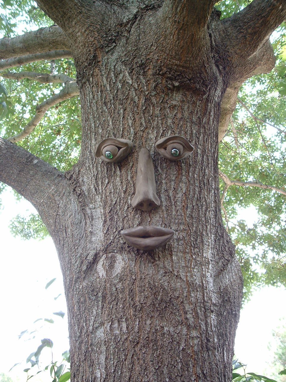 Ствол дерева с человеческим лицом