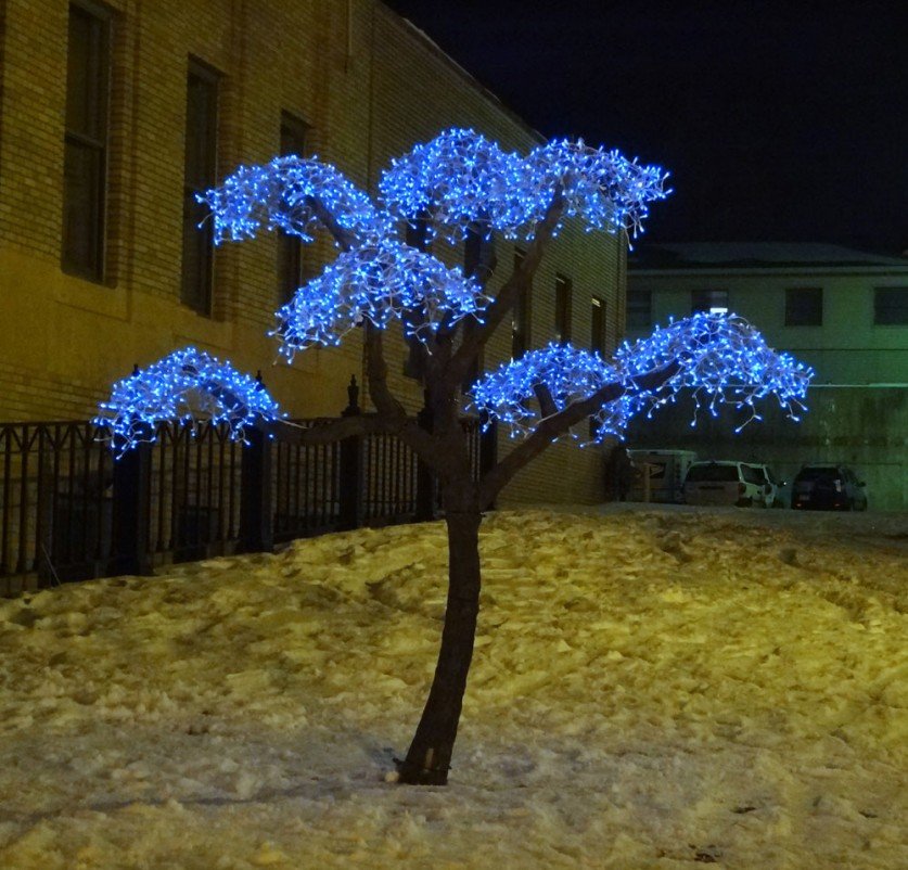 Дерево с подсветкой