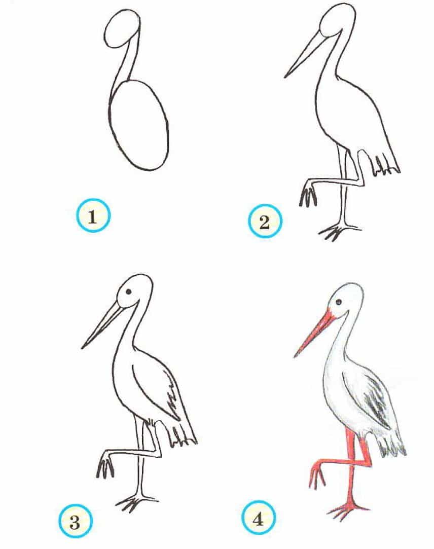 Рисуем птицу поэтапно презентация 2 класс. Поэтапное рисование птиц. Поэтапное рисование птиц для детей. Аист рисунок. Рисование перелетные птицы.