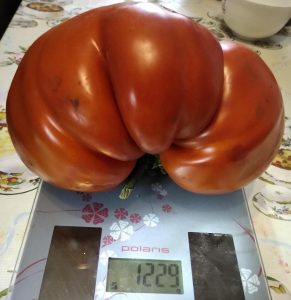 Помидоры Малиновое чудо: описание и характеристика сорта, агротехника ...