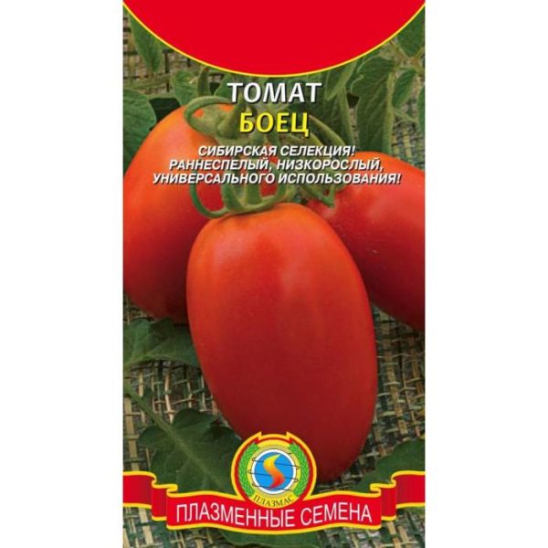 Семена томата Боец от компании «Плазмас»