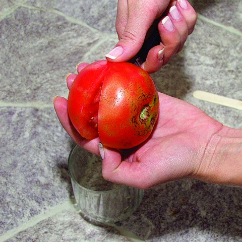 Разрезание помидора