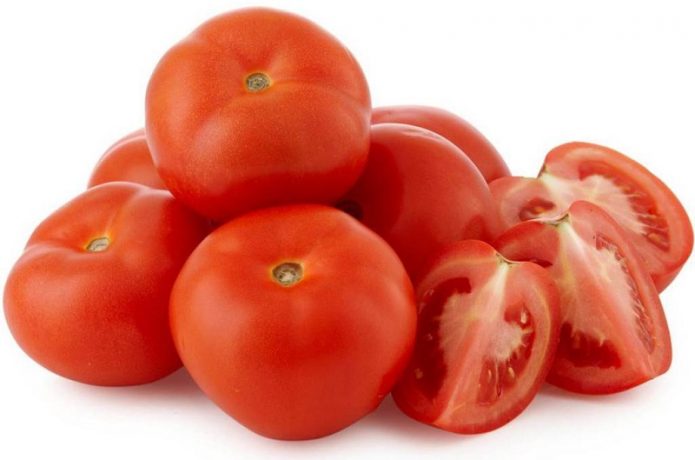 Плоды томата Дубок