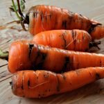 Больная морковь