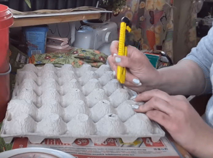 Подготовка кассет из-под яиц к посеву