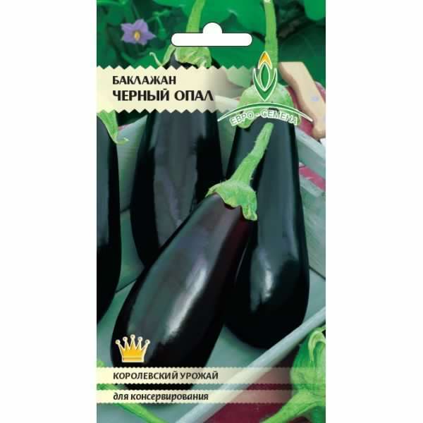 Сорт баклажан Черный опал, описание, характеристика и отзывы, а такжеособенности выращивания