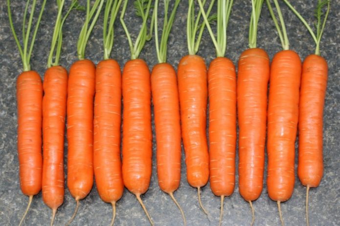 Морковь Самсон