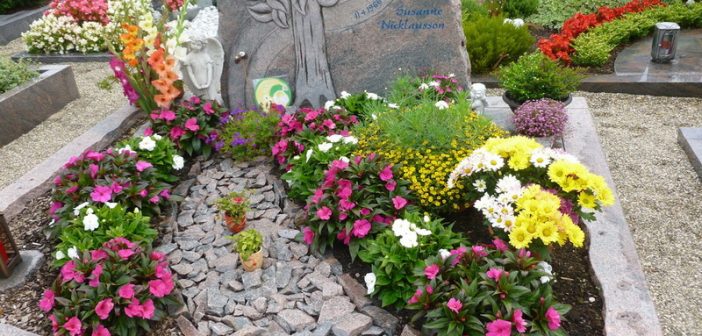 Цветы На Кладбище Фото И Название