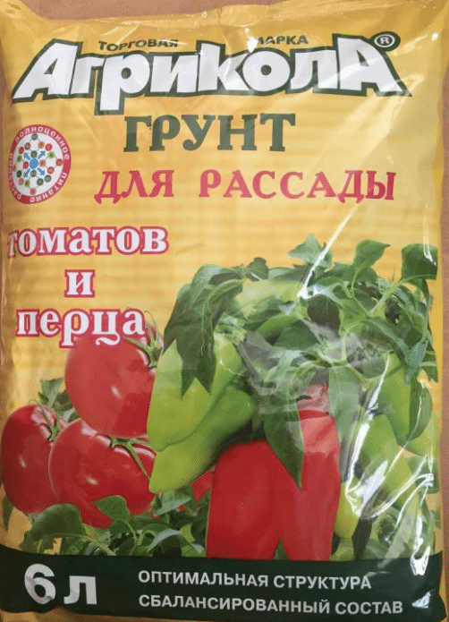 Как правильно выращивать острый перец в домашних условиях?