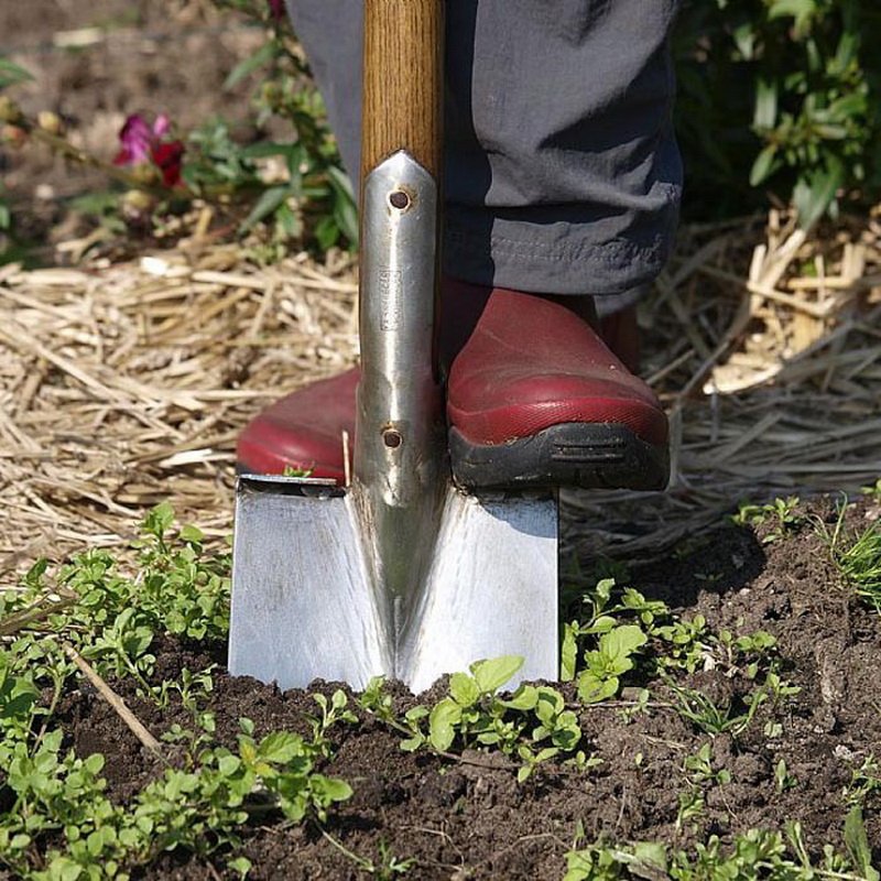 Как выбрать лопату для огорода и сада
