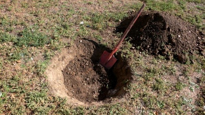 Посадочная яма с лопатой