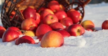 яблоки в снегу
