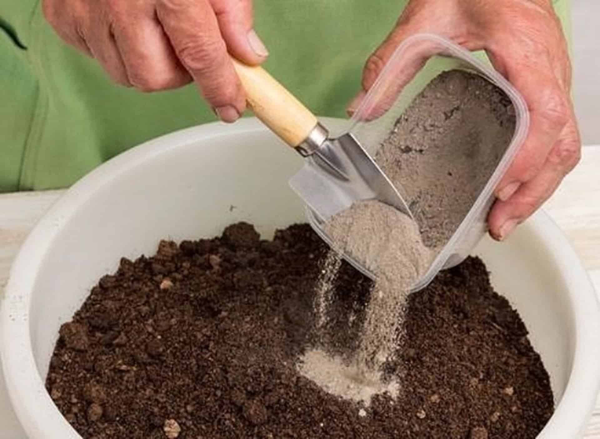 Можно вносить перед посадкой. Почвосмеси для рассады. Подготовка грунта для цветов. Грунт для посадки рассады. Подготовка почвы для рассады.