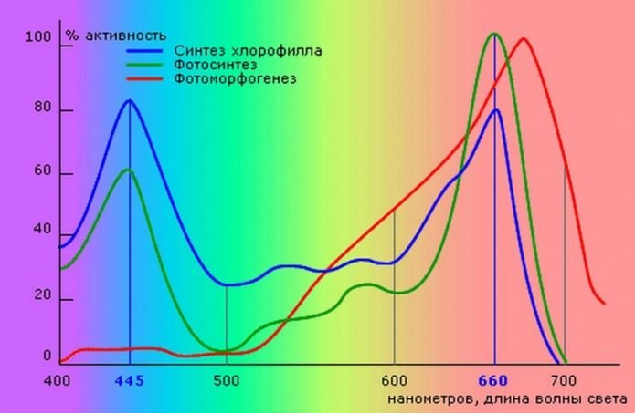 области спектра, наиболее полезные для развития растений