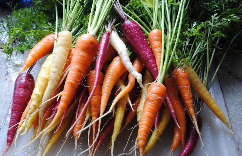 Разные сорта моркови