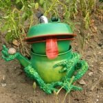 Лягушка из чайника