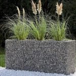 Прямоугольная клумба из габиона со злаками