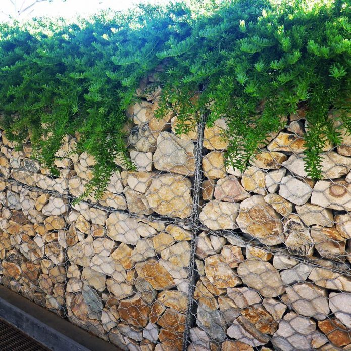 Подпорная стенка из габионов с ампельными растениями