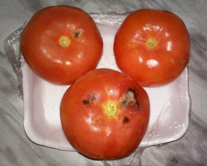 Испорченные помидоры