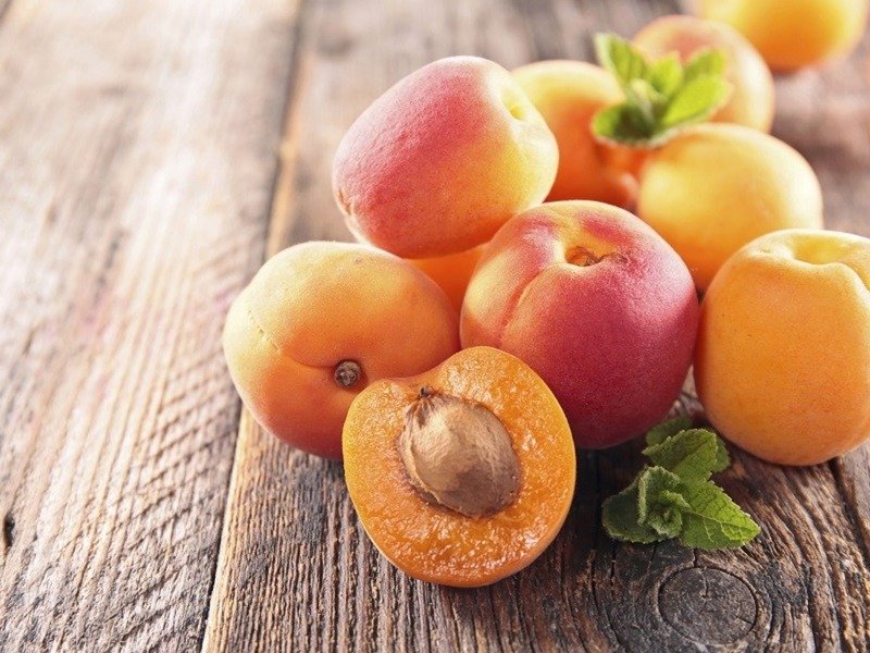 Описание сорта абрикосов Олимп, характеристики урожайности и выращивание