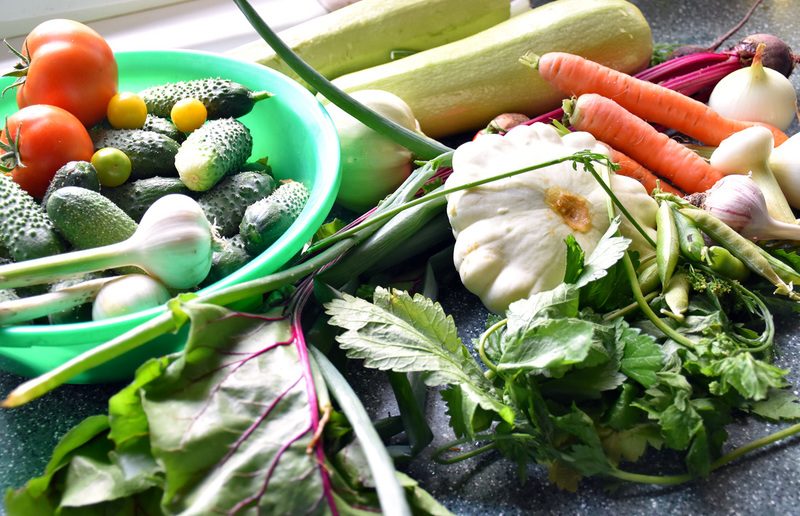 огурцы и кабачки и другие овощи