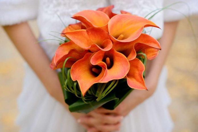 Букет невесты из оранжевых калл