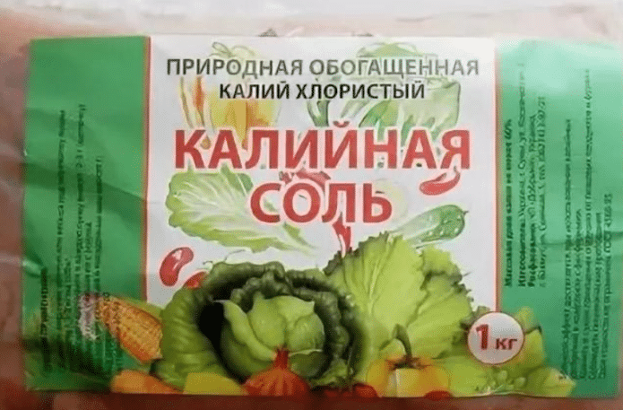 Калийная соль