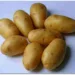 Картофель Импала