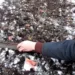Посадка под зиму